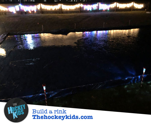 Backyard ice rink at night